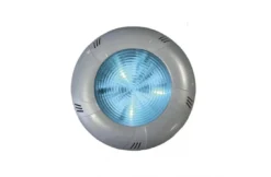 CCEI Nikita Sierplaat