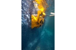 Maytronics Dolphin Dolphin Wave 100 Zwembadrobot -Hayward Verkoop maytronics dolphin dolphin wave 100 zwembadrobot 1
