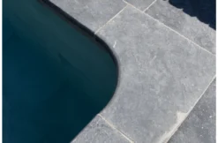 Terato Buitenhoek Asian Blue Afgeronde Neus -Hayward Verkoop terato buitenhoek asian blue afgeronde neus 3