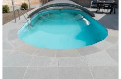 Terato Randsteen Rechte Neus - Sinaï Pearl -Hayward Verkoop terato randsteen rechte neus sinai pearl 2